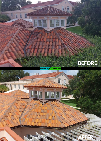 Roof Soft Washing Lake Wales, FL for Effective Moss Removal